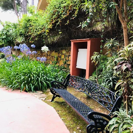 Two-room In Elviria Near The With Parking