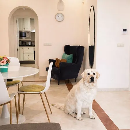 Two-room In Elviria Near The With Parking
