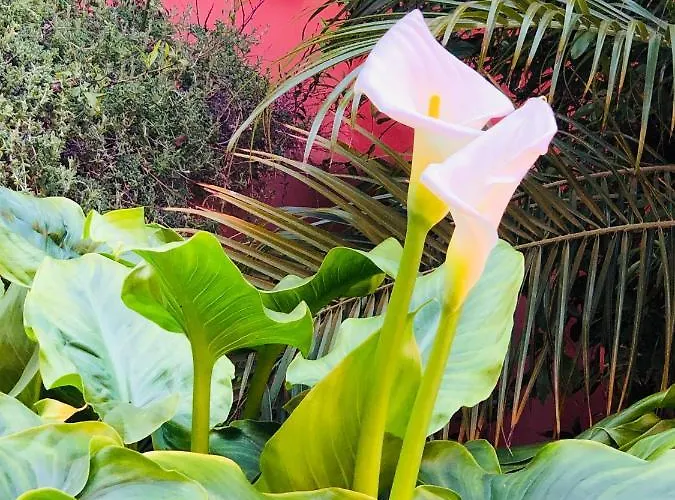 Apartamento Two-room In Elviria Near The With Parking *