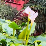 Apartament Two-room In Elviria Near The With Parking *