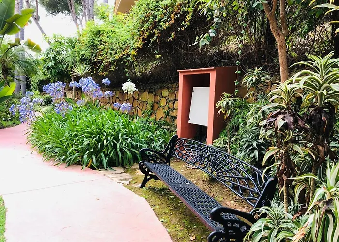 Two-room In Elviria Near The With Parking